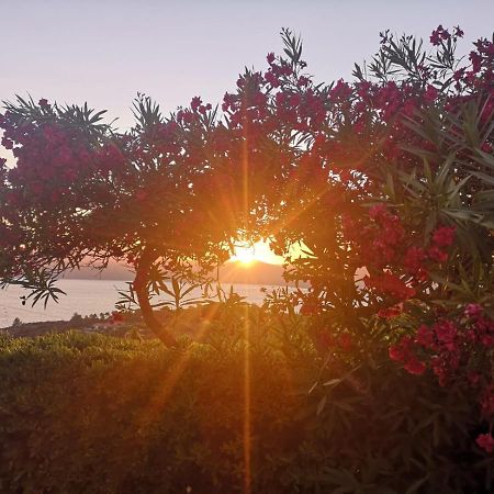 La Casa Sul Tramonto - Capoliveri - Services Included エクステリア 写真