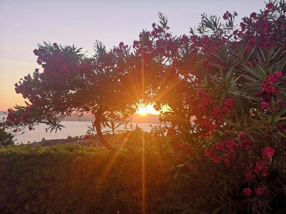 La Casa Sul Tramonto - Capoliveri - Services Included エクステリア 写真